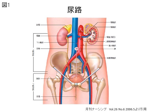 スライド1