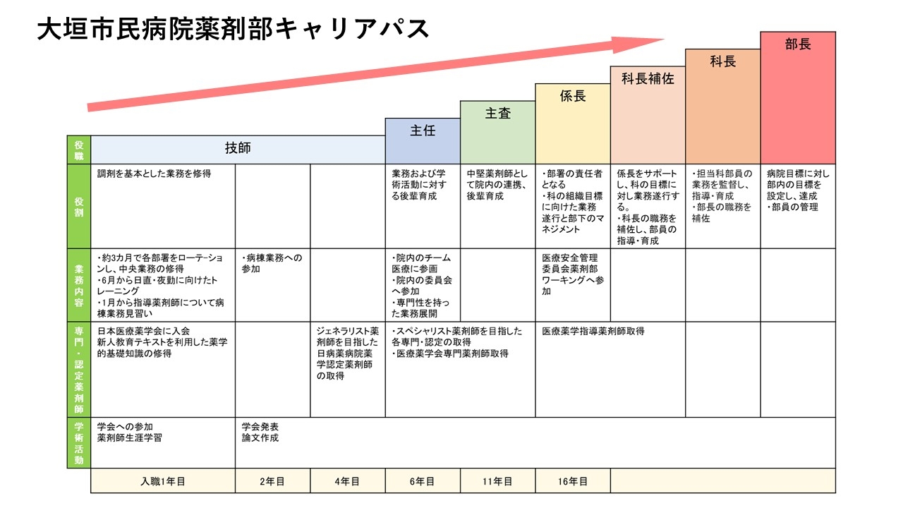 大垣市民病院薬剤部キャリアパス.JPG