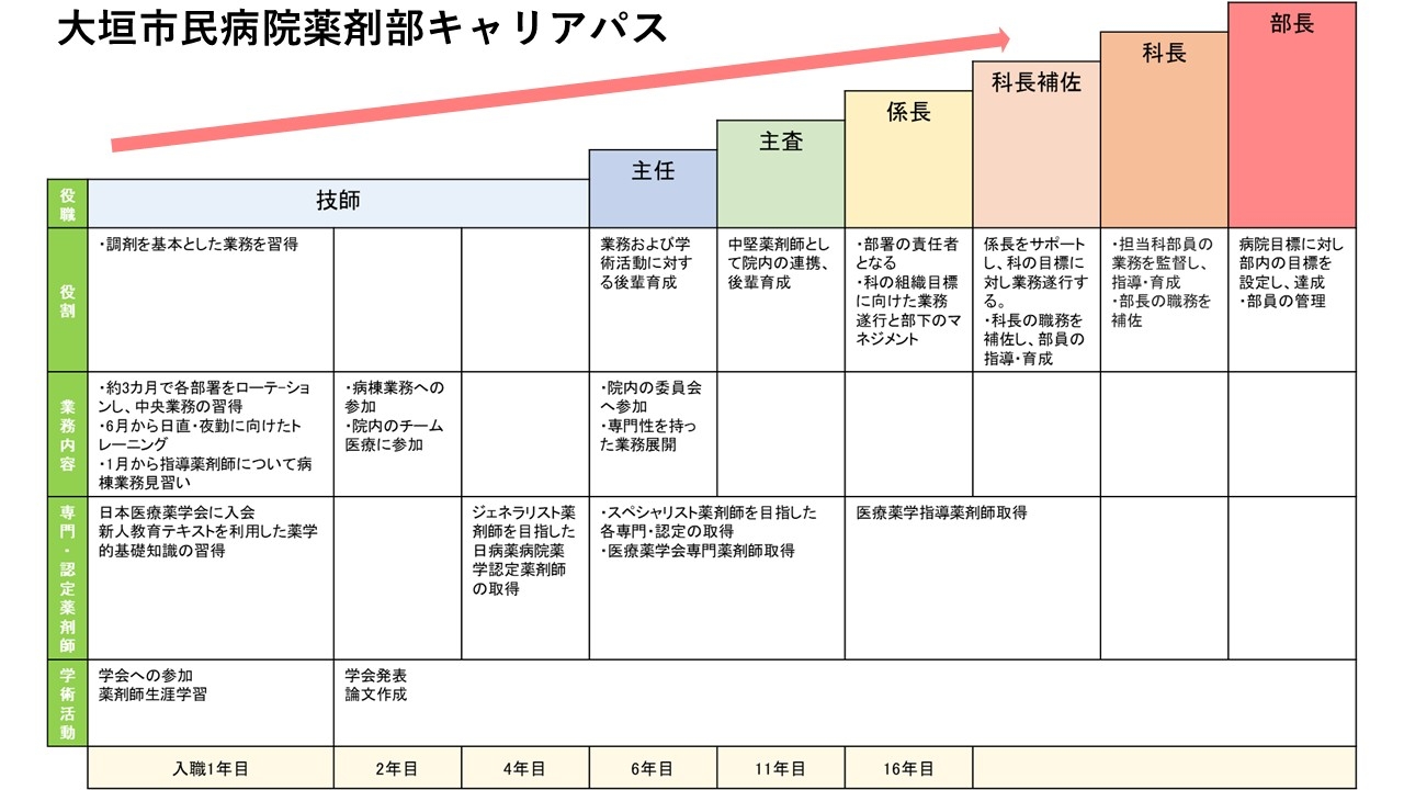 大垣市民病院薬剤部キャリアパス.JPG